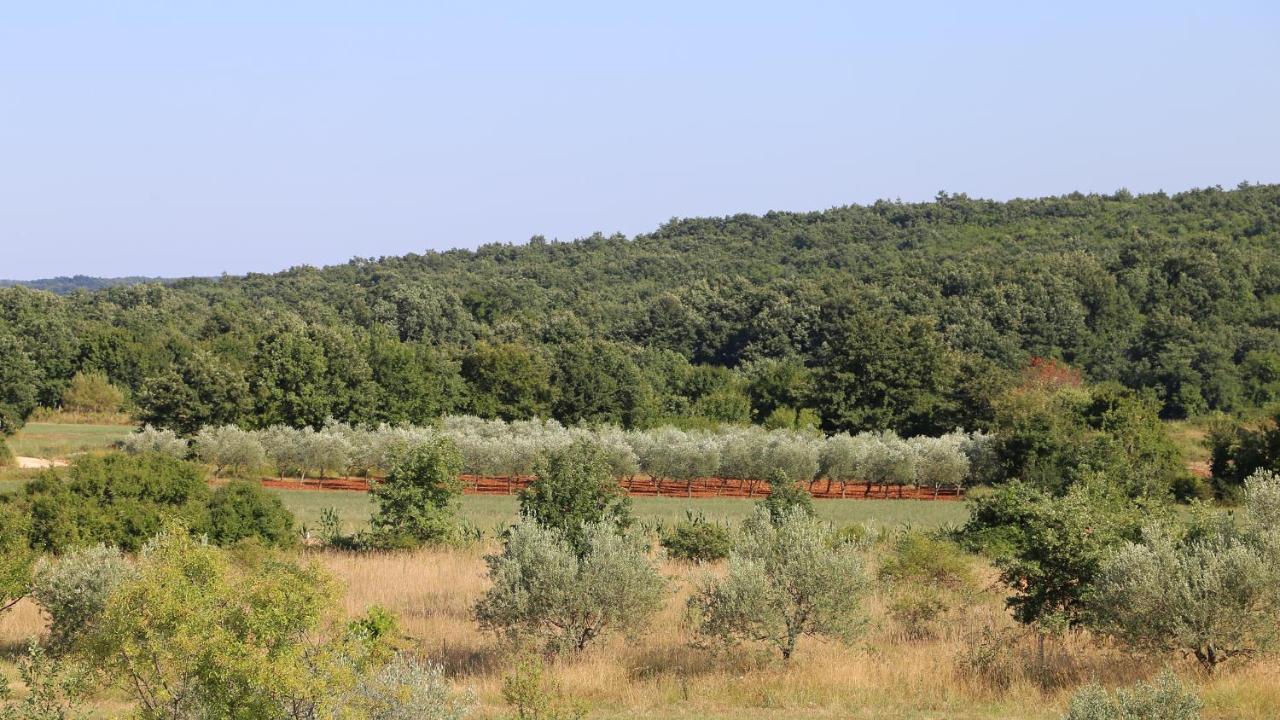 فيلا Casa Conte Istria كانافانار المظهر الخارجي الصورة