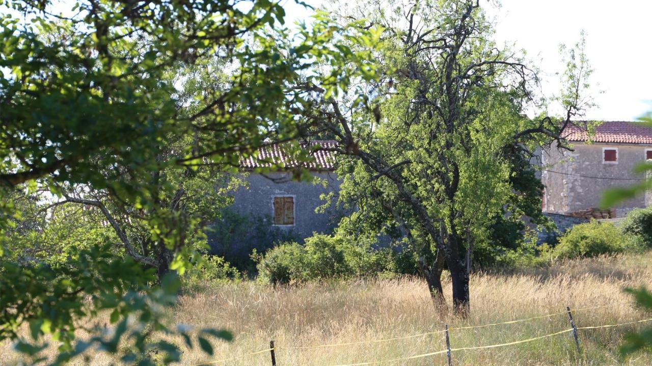 فيلا Casa Conte Istria كانافانار المظهر الخارجي الصورة