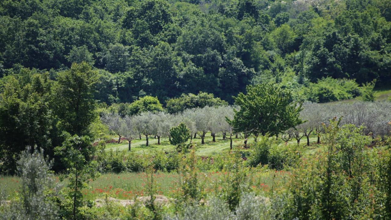 فيلا Casa Conte Istria كانافانار المظهر الخارجي الصورة