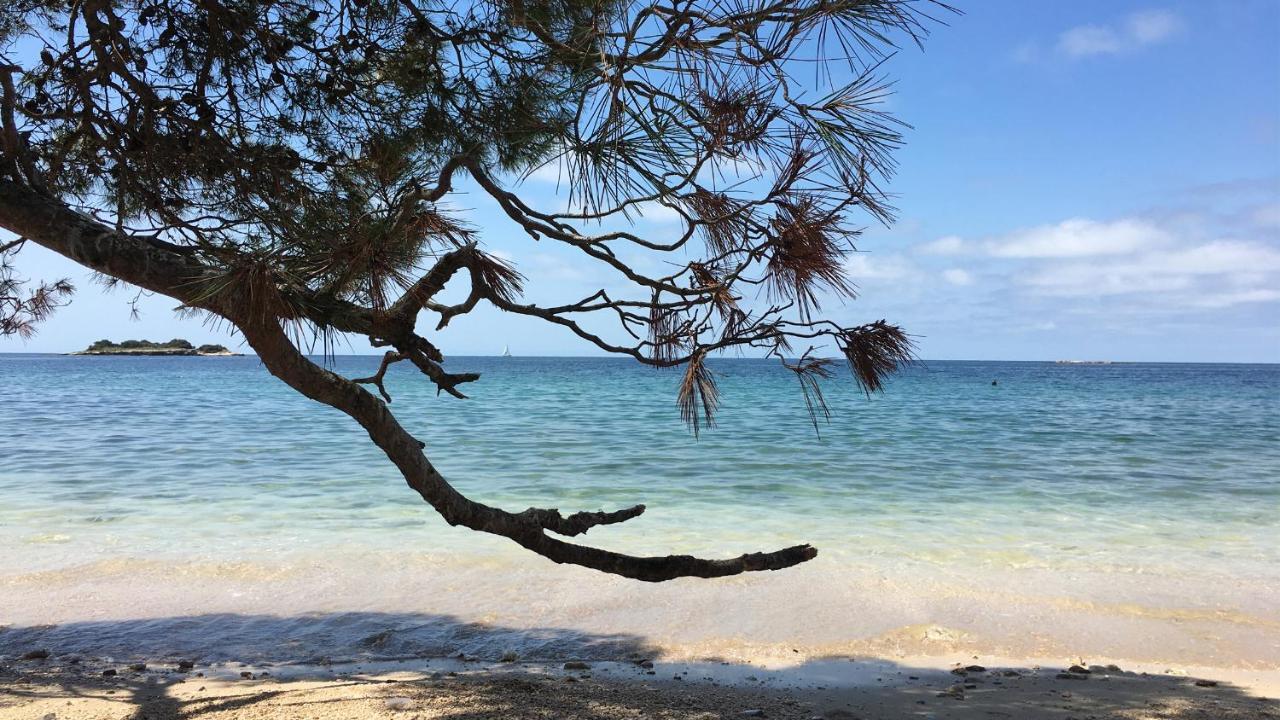 فيلا Casa Conte Istria كانافانار المظهر الخارجي الصورة